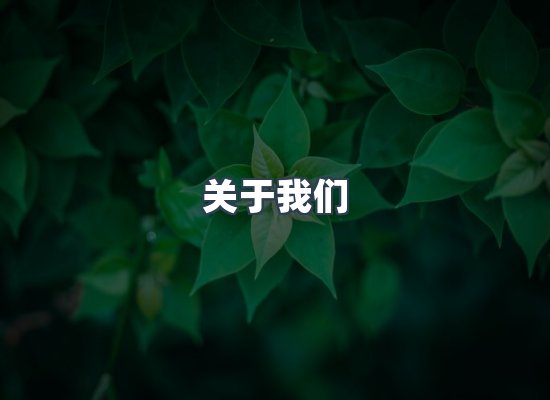 关于我们